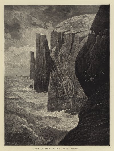 Caza de aves marinas en las Islas Feroe de Charles Auguste Loye